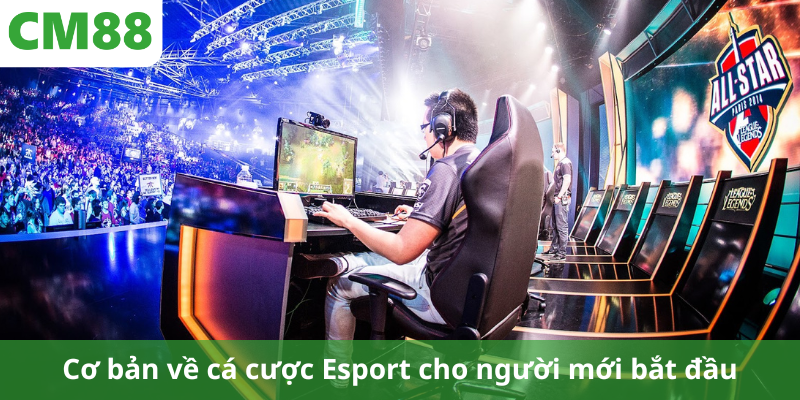 Cơ bản về cá cược Esport cho người mới bắt đầu